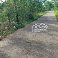 Gia Đình Đang Rất Khó Khăn Cần Bán 2 Sào 8 Đất, 300M2 Thổ Cư 2,8 Tỷ