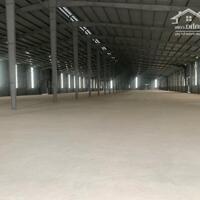 Cho thuê kho xưởng DT 8000m2 Gia Lộc Hải Dương