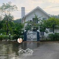 Bán Căn Bt Nghỉ Dưỡng Tại Sunset Villas Vớidiện Tích450M2 Full Nội Thất