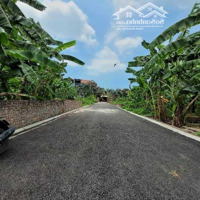 Đất Đấu Giá Đặng Xá, Đường Asphalt, Ô Tô Tránh 160M, Mt7M, Chỉ Hơn 6 Tỷ!