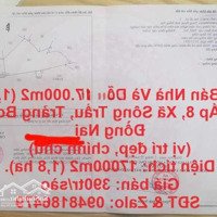 Cần Bán Nhà Và Rẫy 17.000M2 (1,7Ha) Tại Ấp 8, Xã Sông Trầu, Trảng Bom - Đồng Nai