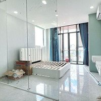 Căn Hộ Chung Cư Mini Gần Terra Royale Trên Nam Kỳ Khởi Nghĩa Quận 3, Rộng 50M2, Dạng 1 Phòng Ngủnhà Mới