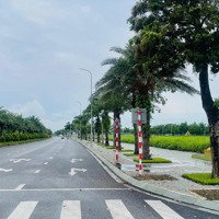 Bán Đất Vườn Hồng Nam Hồng Đồng Kỵ Từ Sơn Garden City Bắc Ninh, Giá Rẻ Nhất Thị Trường