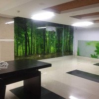 Chính Chủ Cho Thuê Tòa Nhà 20/7 Bùi Thị Xuân, P2, Q. Tân Bình, 10X20M, Hầm 5 Lầu, 0908140491