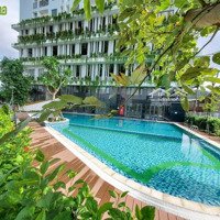 Quỹ Căn Ecolife Riverside Quy Nhơn Giá Rẻ