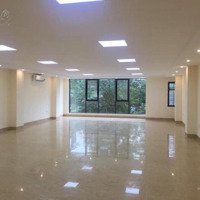 Hạ Giá Bán 5 Tỷ - Bán Gấp Tòa Nhà Vp Hoàng Hoa Thám P7 Bình Thạnh, (9.6M X 22.5M) 216M2, Chỉ Còn 28 Tỷ