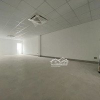 Cho Thuê Mbkd_ 6X18M Đường Nguyễn Mình Hoàng, Khu K300