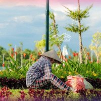 Centura City - Điểm Sáng Đô Thị Trung Tâm - Khơi Dòng Tài Chính - Chạm Đỉnh Đầu Tư