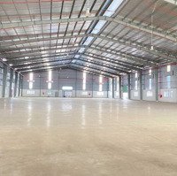 Cho Thuê Kho Mới 10.000M2 Kcn Hải Sơn. Có Văn Phòng, Pccc Tự Động, Trạm Hạ Thế. Giá 750 Triệu