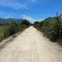 Đất Mặt Tiền Đường Bê Tông 6M Xã Suối Cát, Huyện Cam Lâm, Khánh Hoà