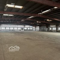 Kho Xưởng 1000M2, 1800M², 3500M², 5000M² Phường Trường Thọ, Có Pccc