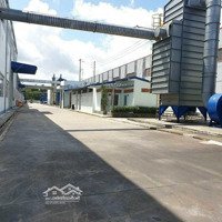 Cho Thuê Kho Xưởng Đất: 24.476M2, Xd: 12.400M2 , Pccc Tự Động , Kế Kcn Tân Đô , Long An