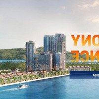 Biệt Thự Ven Sông Hàn Khu Nhà Giàu Tại Đà Nẵng Chỉ Có Giá Bán 16,5 Tỷ Tại Siêu Dự Án Sun Symphony