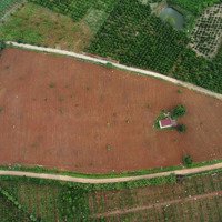 Bán Đất Đẹp Giá Rẻ Tại Tân Hà, Lâm Đồng - View 360 Độ, Giá Chỉ Từ 839 Triệu
