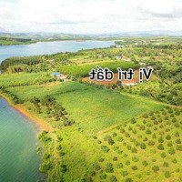 500M Đất View Hồ Sông Hinh Toàn Cảnh Giá Rẻ Chỉ 225 Triệu Sẵn Sổ