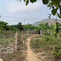 Bán Đất Cln: Diện Tích 17,390M2, Tại Thôn 3, Xã La Dạ, H. Hàm Thuận Bắc, Bình Thuận
