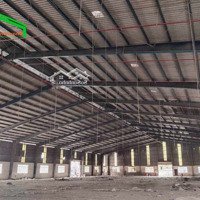 Cho Thuê Kho Xưởng 18000M2 Sạch Đẹp Giá Tốt Tại Thuận An, Bình Dương