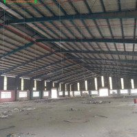 Cho Thuê Kho Xưởng 18000M2 Sạch Đẹp Giá Tốt Tại Thuận An, Bình Dương