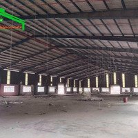 Cho Thuê Kho Xưởng 18000M2 Sạch Đẹp Giá Tốt Tại Thuận An, Bình Dương