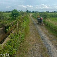 Thua Banh Bóng Bán Trả Nợ