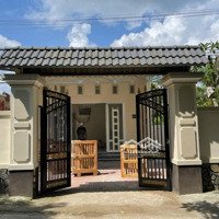 Bán Hàng Ngon Giá Sốc Nhà Cấp 4 139M2 Đ. Basa ( Củ Chi ) Shr Giá 550 Triệu