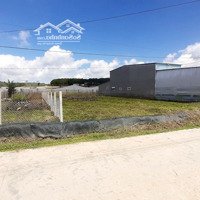 260M2 Đất Sổ Hồng Thổ Cư View Đẹp