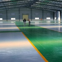 Cho Thuê Kho 1000M2 Kcn Hòa Khánh – Sẵn Vp – Pccc Tự Động