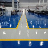 Cho Thuê Kho 1000M2 Kcn Hòa Khánh – Sẵn Vp – Pccc Tự Động