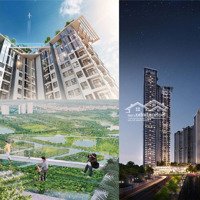 Bán Căn Hộ Sky Oasis 2 Phòng Ngủ + 1 Vệ Sinh Tầng Trung. Giá Bán 2.05 Tỷ. Liên Hệ 0969695710