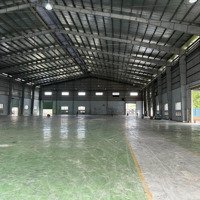 Cho Thuê Kho Xưởng Đất: 24.000M2, Xd: 15.000M2, Pccc Tự Động , Kế Kcn Tân Đức , Đức Hòa, Long An