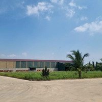 Cho Thuê Kho Xưởng Đất: 24.000M2, Xd: 15.000M2, Pccc Tự Động , Kế Kcn Tân Đức , Đức Hòa, Long An