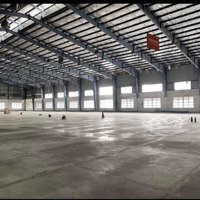 Kho Bạch Đằng,Diện Tích800M2, Có Pccc, Trần Cao 8M, Tự Do Làm Kd Sx.