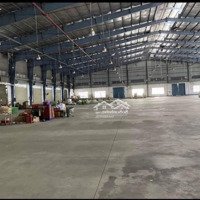 Kho Bạch Đằng,Diện Tích800M2, Có Pccc, Trần Cao 8M, Tự Do Làm Kd Sx.