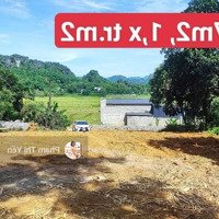 Giá Rẻ 1,Xtr/M2 Cho 707M/228M Thổ Cư Tại Cao Dương - Lương Sơn. View Cánh Đồng Bám Đường Bê Tông.