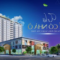 Căn Hộ Chung Cư Tây Đô Plaza, Thanh Toán Trước Chỉ 240 Triệu, Dọn Vào Ở Ngay.