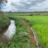 Đất View Ruộng Vieu Suối Phường Thắng Lợi Cách Trung Tâm Pleiku 6,5Km