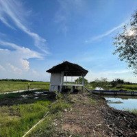 Bán Gấp! Khu Đất Phú Đông- Nhơn Trạch Đồng Nai -Sân Bay Long Thành, Đi Hcm ~30Km Dt19 Dt769 Hh% Mg