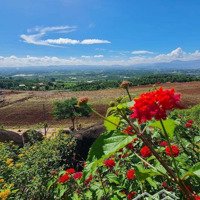 Bán 1693M2 Đất Thổ Cư, View Săn Mây, Đất Đai Màu Mỡ, Sẵn Homestay Sát Bên Nghỉ Dưỡng