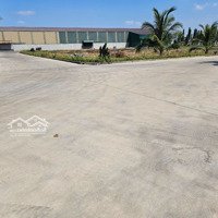 Cho Thuê Kho Xưởng 15.000M2 Bến Lức, Long An. Có Pccc, Xe Cont 24/24.