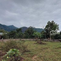 Bán 1000M2 Đất Tại Thôn Chóng, Xã Yên Bài, Huyện Ba Vì Giá Chỉ 3,35Tỷ