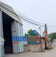 Cho Thuê Gấp 2200M2 Xưởng Tại Phù Lỗ, Sóc Sơn, Hà Nội