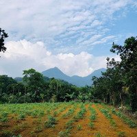 Tài Chính Dưới 2 Tỷ 923 M2 Đất Tại Minh Quanh Ba Vì.cách Ub Xã 400M Trục Chính 150M.mt18M View Núi