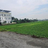 Bán Miếng Đất 4.365M (40X110M). Đường 6M Thông Thạnh Xuân 14, Q12