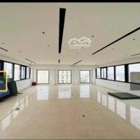 Vẻ Đẹp Quý Phái, Kiêu Xa, Đẳng Cấp Của Tòa Building Phố Trần Hưng Đạo, Trung Tâm Hà Nội