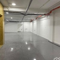 Tòa Nhà Hầm 7 Tầng Nổi 1000M² Sàn Trung Tâm Q2 Tiện Showroom Văn Phòng