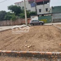 Bán Đất Đấu Giá Khu X3 Lô Góc 86M2 Khê Nữ, Nguyên Khê, Đông Anh