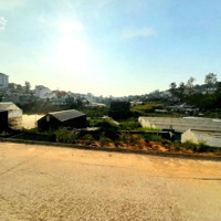 Bán Đất View Đồi Thông Khu Dân Cư Trung Tâm, Đi Hồ Xuân Hương Hơn 2Km