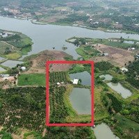 Thời Điểm Vàng Để Đầu Tư Đất Giá Tốt Xuân Phú- Ea Kar 18000M2 Sẵn 400M2 Thổ Cư Sẵn Nhà & Vườn