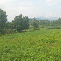 Bán 3880M2 Đất View Cánh Đồng, Trục Chính Xóm Muỗi, Yên Bài, Ba Vì, Hn.