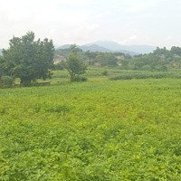 Bán 3880M2 Đất View Cánh Đồng, Trục Chính Xóm Muỗi, Yên Bài, Ba Vì, Hn.